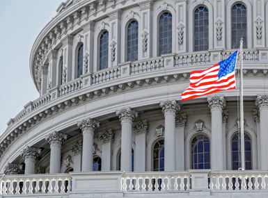 Global has been awarded the following SINs to support the needs of our Federal Customers