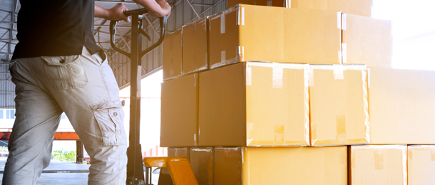 Shipping Terms